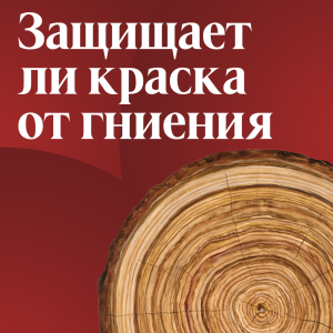 Защищает ли краска дерево от гниения и влаги: советы от Tikkurila