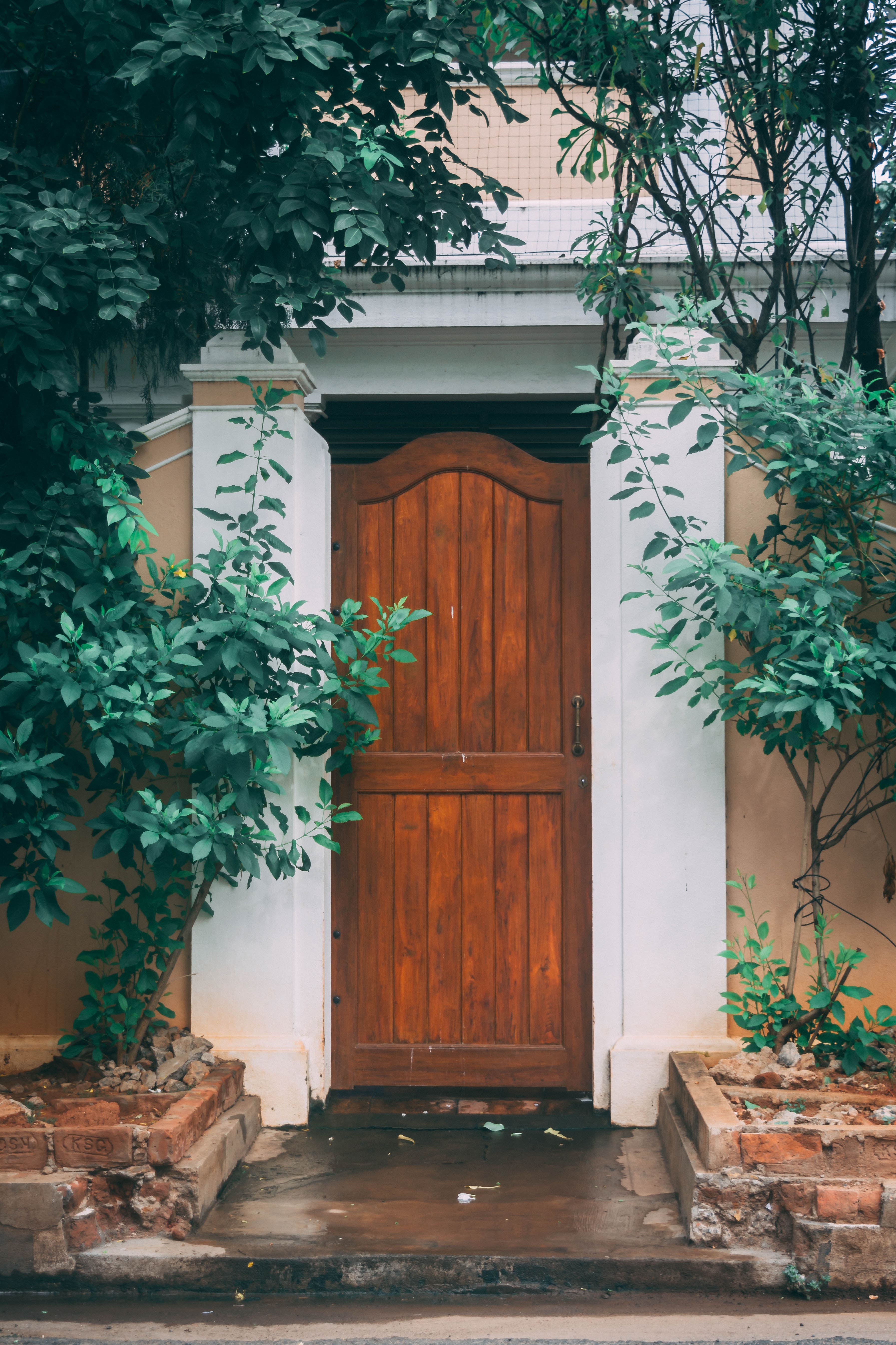 деревянный фасад, дверь